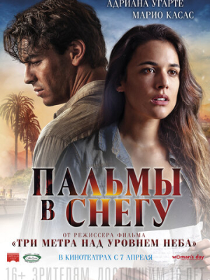 Пальмы в снегу 