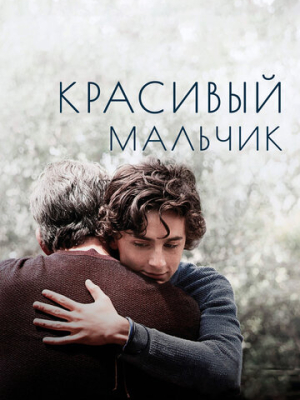 Красивый мальчик 