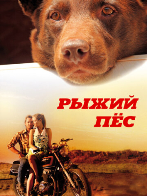 Рыжий пес 