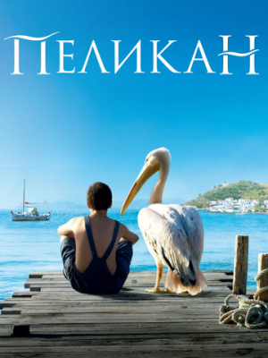 Пеликан 
