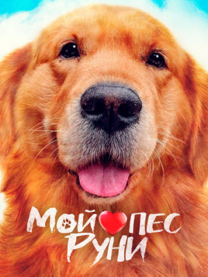 Мой пёс Руни 