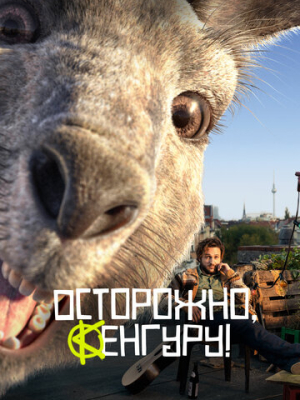 Осторожно, Кенгуру! 