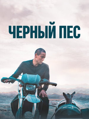 Чёрный пёс 