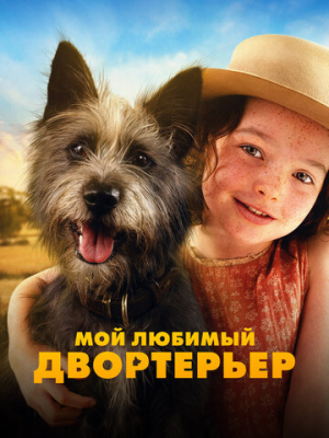 Мой любимый двортерьер 